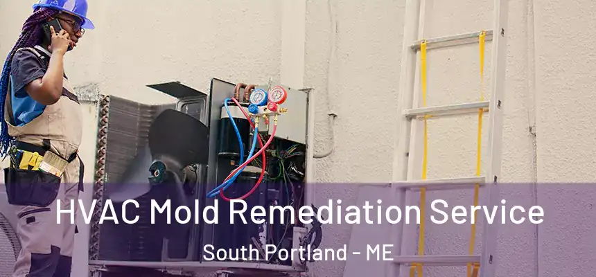  HVAC Mold Remediation Service South Portland - ME