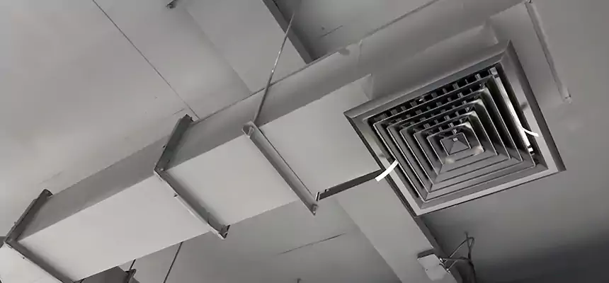 Our Rodent Droppings In Vents Services in South Portland, ME