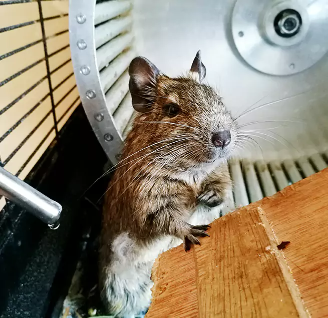 Why Homeowners & Businesses Trust Us South Portland, ME?