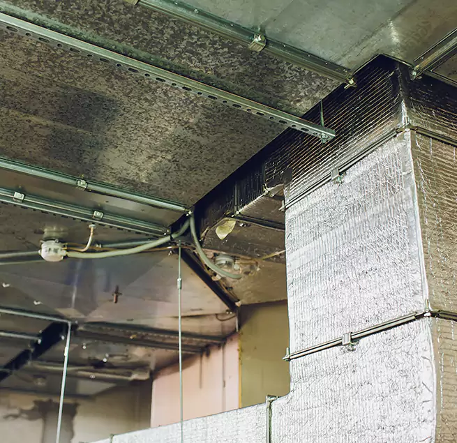 Why Homeowners & Businesses Trust Us in South Portland, ME?